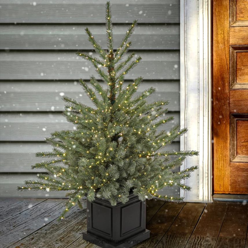 Trees | National Tree Company Pre-Lit Artificial Christmas Entrance Tree Blue Evergreen  Dual Rice LED Lights Plug in 48 in F2L4F71